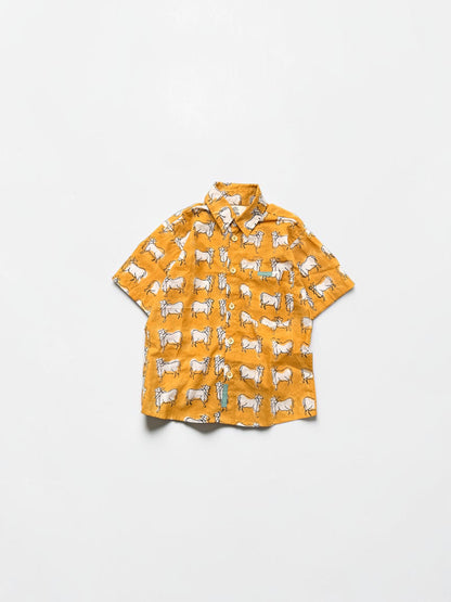 Boy's Block Print Short Sleeve Shirts