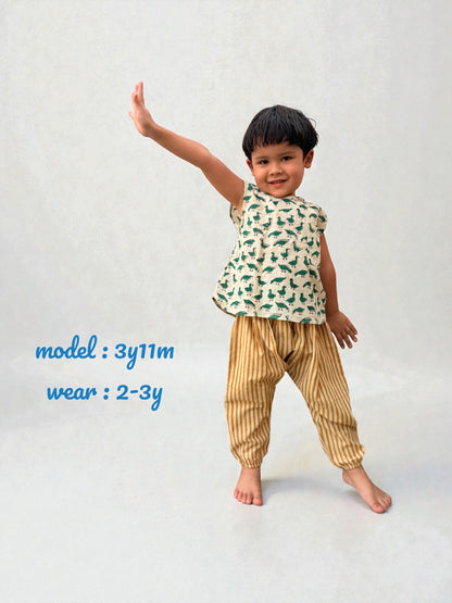 Baby and Infant Boys Room Wear